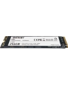 patriot Dysk SSD 256GB Viper P300 1700/1100 PCIe M.2 2280 - nr 11
