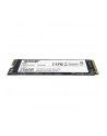 patriot Dysk SSD 256GB Viper P300 1700/1100 PCIe M.2 2280 - nr 15