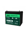 GREEN CELL Battery AGM 12V 75 Ah - nr 20
