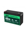 GREEN CELL Battery AGM 6V12AH - nr 11