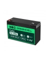 GREEN CELL Battery AGM 6V12AH - nr 20