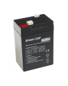 GREEN CELL Battery AGM 6V4.5AH - nr 1