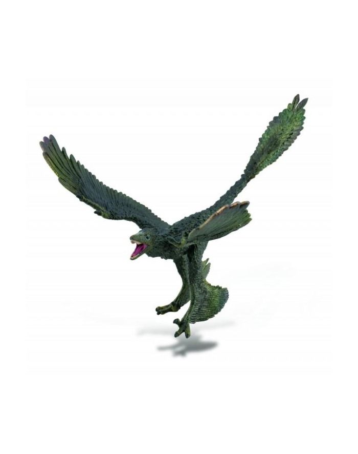 Dinozaur Microraptor 88875 COLLECTA główny