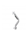 newstar Uchwyt biurkowy NM-D775SILVER PLUS - nr 15