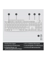 LOGITECH MK295 Silent Wireless Combo - OFF WHITE - DEU - CENTRAL - nr 106