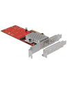 DeLOCK PCIe x8> 2x int. NVMe M.2 Key M LP, adapters - nr 10