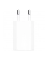 apple Ładowarka 5W USB Power Adapter - nr 21