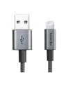 ADATA Sync ' Charging Lightning cable, adapter (titanium, 1 meter) - nr 3