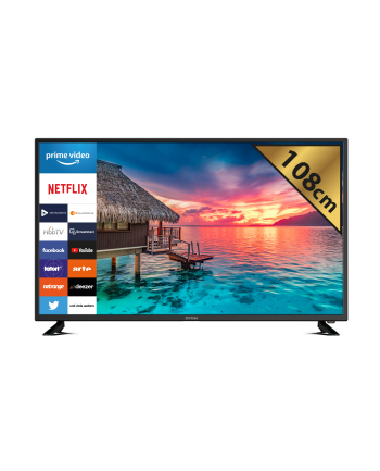 DYON Smart 43 XT 108 cm (43 inch) TV (Full-HD Smart TV, HD Triple Tuner (DVB-C / -S2 / -T2), Prime Video, Netflix ' HbbTV)