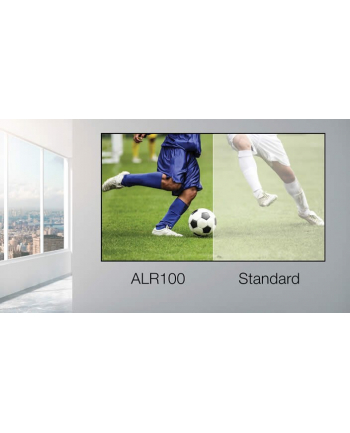 Optoma ALR101, framed screen (grey, 100 '', 16: 9)