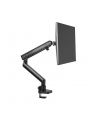ICY BOX IB-MS313-T, monitor holder (black) - nr 32