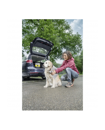 Kärcher Mobile Outdoor Cleaner 3 Pet Box, low pressure cleaner (yellow / black)