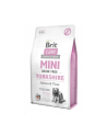 Brit Care Mini Grain Free Yorkshire 2kg - nr 1