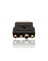 ADAPTER EURO->SVHS-3XRCA (CHINCH) (POJEDYNCZY) - nr 14