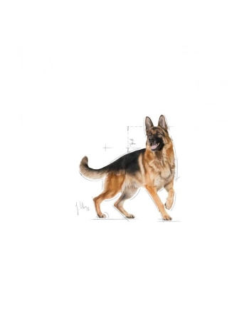 ROYAL CANIN German Shepherd 11kg nr 2