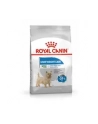 ROYAL CANIN Mini Light Weight Care - sucha karma dla psów dorosłych ras małych do 10 kg  od 10 miesiąca  z nadwagą - 3kg - nr 4