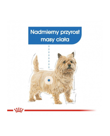 ROYAL CANIN Mini Light Weight Care - sucha karma dla psów dorosłych ras małych do 10 kg  od 10 miesiąca  z nadwagą - 3kg