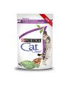 purina nestle CAT CHOW Hairball Control Kurczak Zielona Fasolka w sosie 85g - nr 1