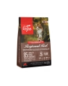 ORIJEN Cat Regional Red 1 8kg - nr 1