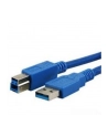 Kabel USB 3.0 MediaRange MRCS149 AM/BM, 3m, niebieski - nr 2