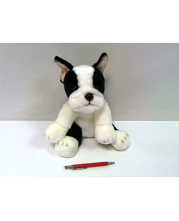 anek - smily play Pies Boston Terrier 30cm SmilyPlay 84404BS 34739