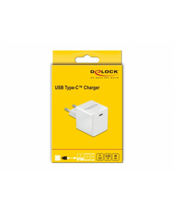 Ładowarka sieciowa delock 1xUSB C (F) 3A 100-240V 40 W biała