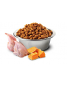 FARMINA N'D CAT PUMPKIN QUAIL ' POMEGRANATE - Koty dorosłe  z przepiórką  dynią i granatem 1 5kg - nr 2