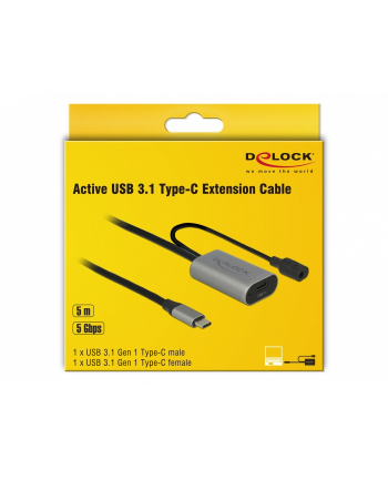 DELOCK Active USB 3.1 Gen 1 extension cable USB Type-C 5 m