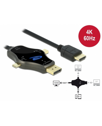 DELOCK 3 in 1 monitor Cable with USB-C/DisplayPort/mini DisplayPort in to HDMI out with 4K 60Hz