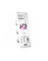 Kapsułki roślinne Click and Grow Plant Pods Petunia 3-Pack SGR27x3 - nr 9