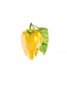 Kapsułki roślinne Click and Grow Plant Pods Słodka żółta papryka 3-Pack SGR53X3 - nr 14