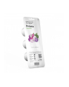 Kapsułki roślinne Click and Grow Plant Pods Petunia 3-Pack SGR27x3 - nr 1