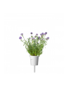 Kapsułki roślinne Click and Grow Plant Pods Lawenda 3-Pack SGR30x3 - nr 3