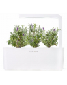 Kapsułki roślinne Click and Grow Plant Pods Lawenda 3-Pack SGR30x3 - nr 5