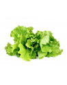 Kapsułki roślinne Click and Grow Plant Pods Salata 3-Pack SGR32X3 - nr 10