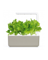 Kapsułki roślinne Click and Grow Plant Pods Salata 3-Pack SGR32X3 - nr 8