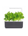 Kapsułki roślinne Click and Grow Plant Pods Salata 3-Pack SGR32X3 - nr 9