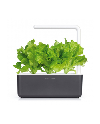 Kapsułki roślinne Click and Grow Plant Pods Salata 3-Pack SGR32X3