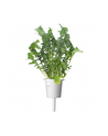 Kapsułki roślinne Click and Grow Plant Pods Rukola 3-Pack SGR19X3 - nr 10
