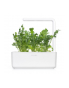 Kapsułki roślinne Click and Grow Plant Pods Rukola 3-Pack SGR19X3 - nr 11