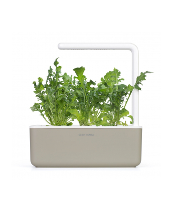 Kapsułki roślinne Click and Grow Plant Pods Rukola 3-Pack SGR19X3