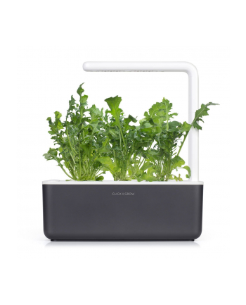 Kapsułki roślinne Click and Grow Plant Pods Rukola 3-Pack SGR19X3