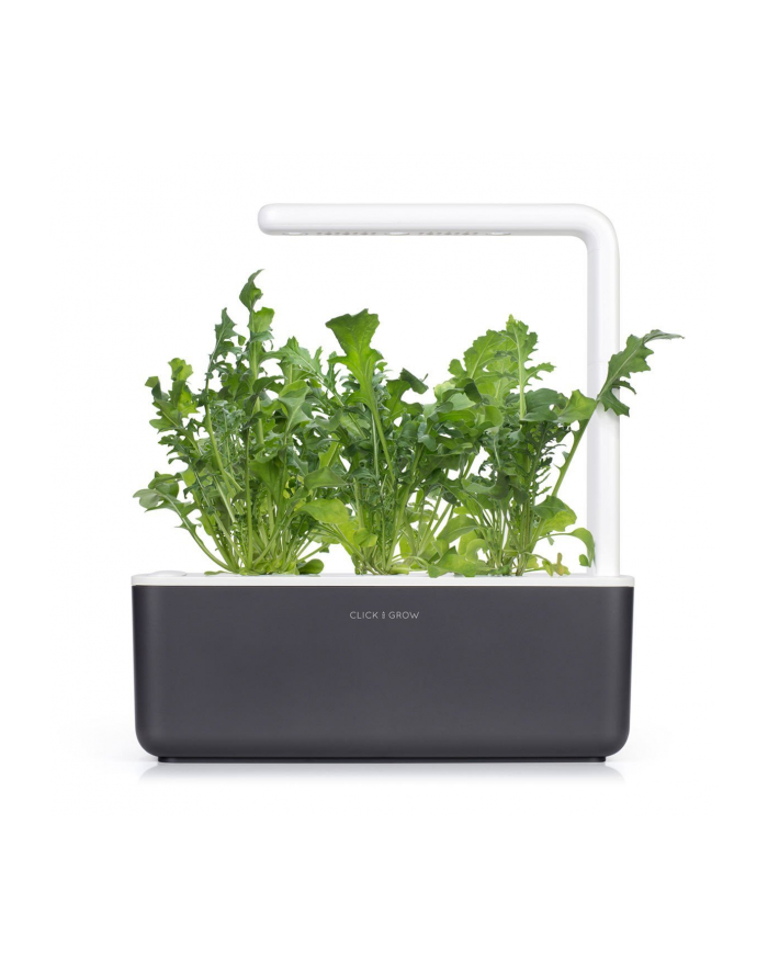 Kapsułki roślinne Click and Grow Plant Pods Rukola 3-Pack SGR19X3 główny