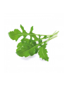 Kapsułki roślinne Click and Grow Plant Pods Rukola 3-Pack SGR19X3 - nr 3
