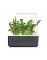 Kapsułki roślinne Click and Grow Plant Pods Rukola 3-Pack SGR19X3 - nr 7