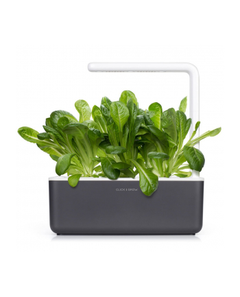 Kapsułki roślinne Click and Grow Plant Pods Salata rzymska 3-Pack SGR50x3