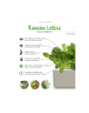 Kapsułki roślinne Click and Grow Plant Pods Salata rzymska 3-Pack SGR50x3 - nr 3
