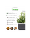 Kapsułki roślinne Click and Grow Plant Pods Rozmaryn 3-Pack SGR51x3 - nr 4