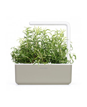 Kapsułki roślinne Click and Grow Plant Pods Rozmaryn 3-Pack SGR51x3