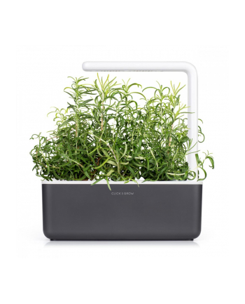 Kapsułki roślinne Click and Grow Plant Pods Rozmaryn 3-Pack SGR51x3